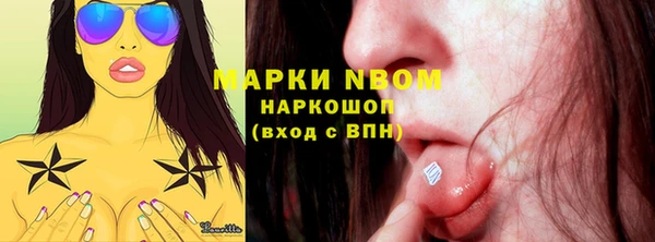 шишки Осташков