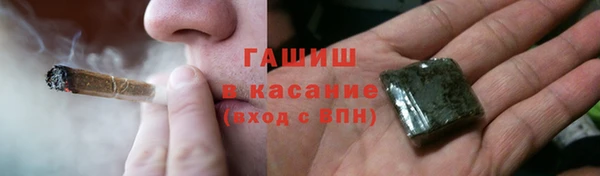 индика Вязьма