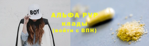 ECSTASY Осинники