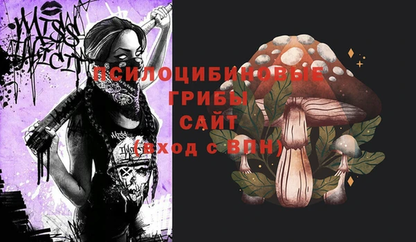 шишки Осташков
