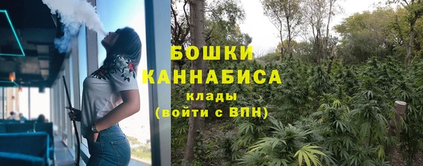 ECSTASY Осинники