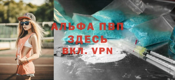 шишки Осташков