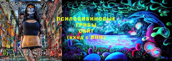стафф Пересвет