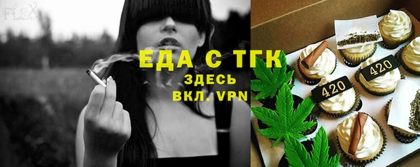 шишки Осташков